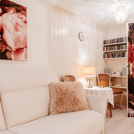 Glueckliche Zeit 100qm Im Souterrain Apartament Osterode am Harz